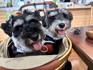 5077D8CD-BC42-4141-954F-CE05820C7C27